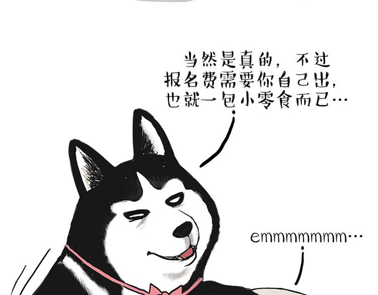 第230话 巴扎黑进娱乐圈？4