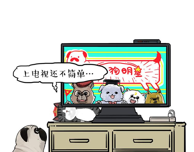 第230话 巴扎黑进娱乐圈？40