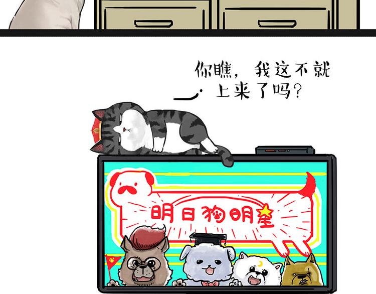 第230话 巴扎黑进娱乐圈？41