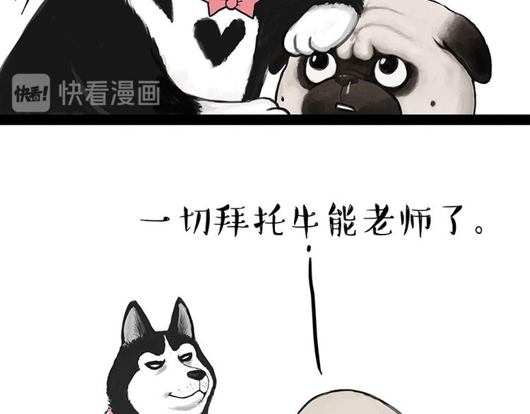 第230话 巴扎黑进娱乐圈？5