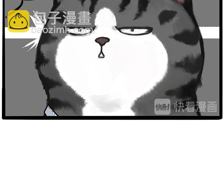 第231话 防骗指南11