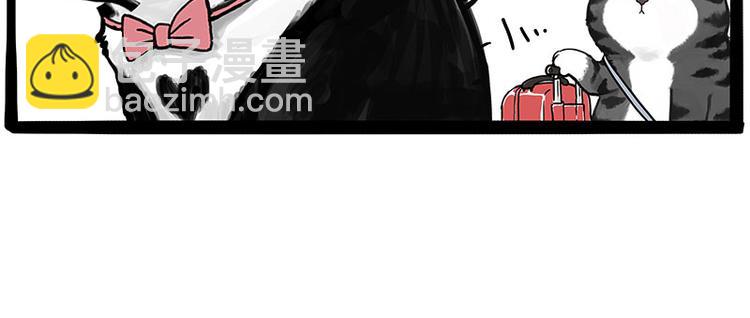 第231话 防骗指南13