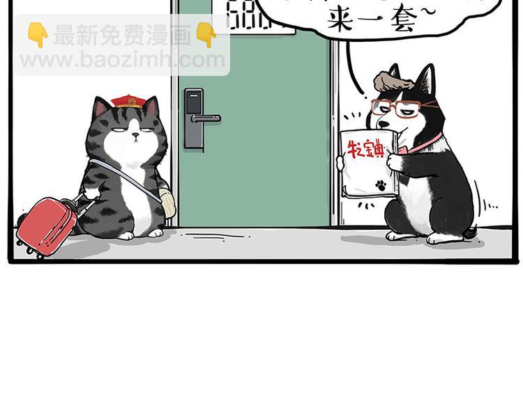 第231话 防骗指南23