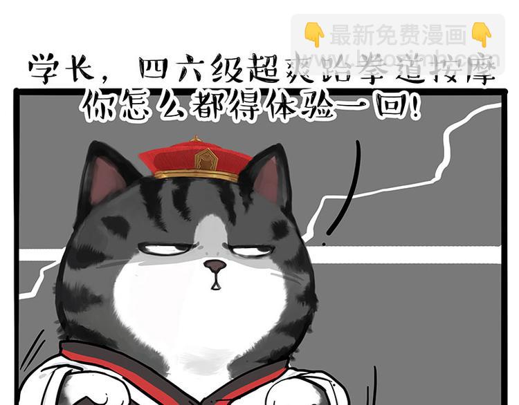 第231话 防骗指南24
