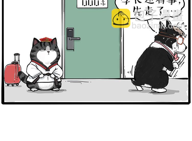 第231话 防骗指南26