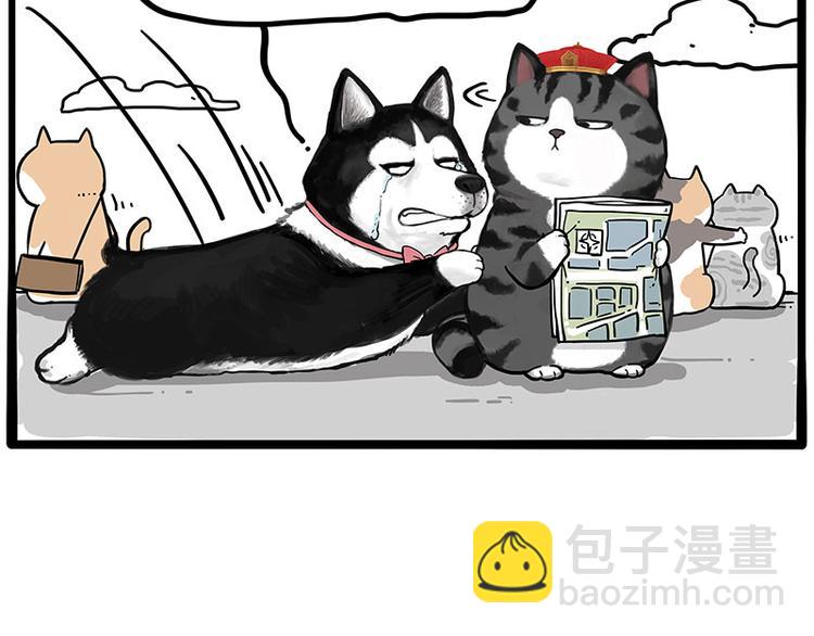 第231话 防骗指南36