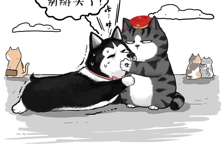 第231话 防骗指南39
