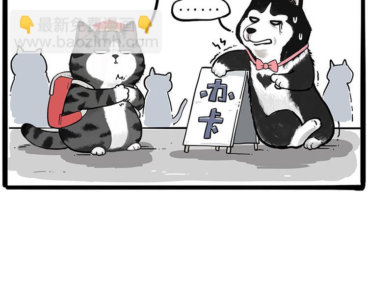 第231话 防骗指南44