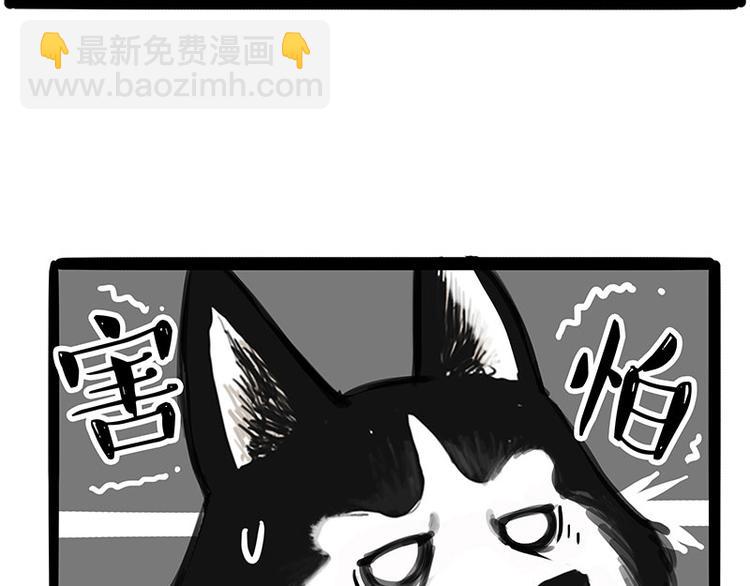 第231话 防骗指南5