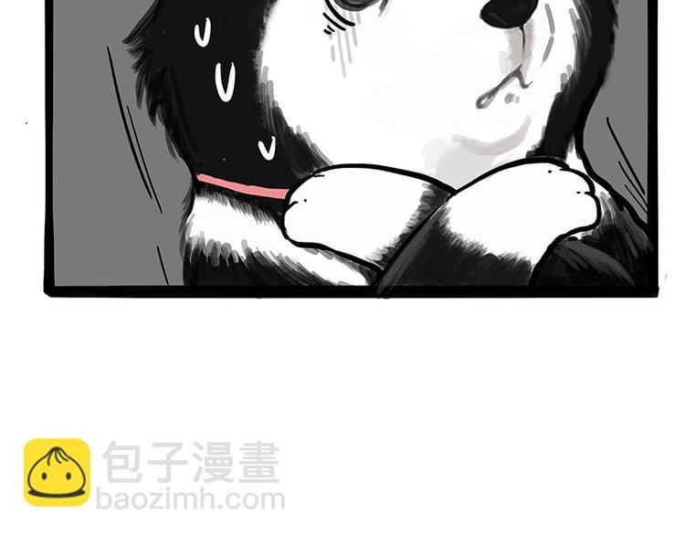 第231话 防骗指南6