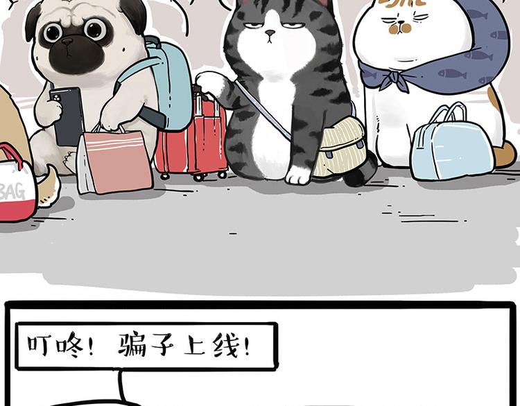 第231话 防骗指南8