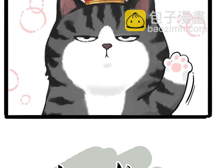 第232话 我退出这个家13