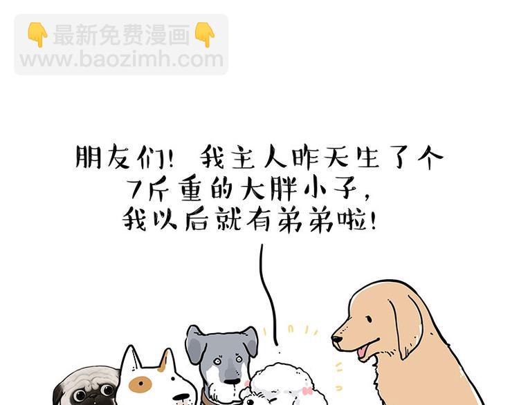 第232话 我退出这个家16