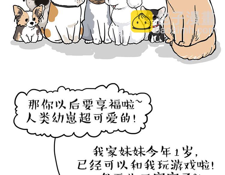 第232话 我退出这个家17
