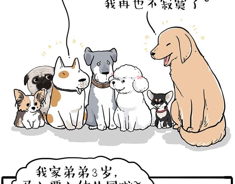 第232话 我退出这个家18