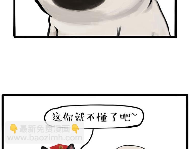 第233话 你太飘了11