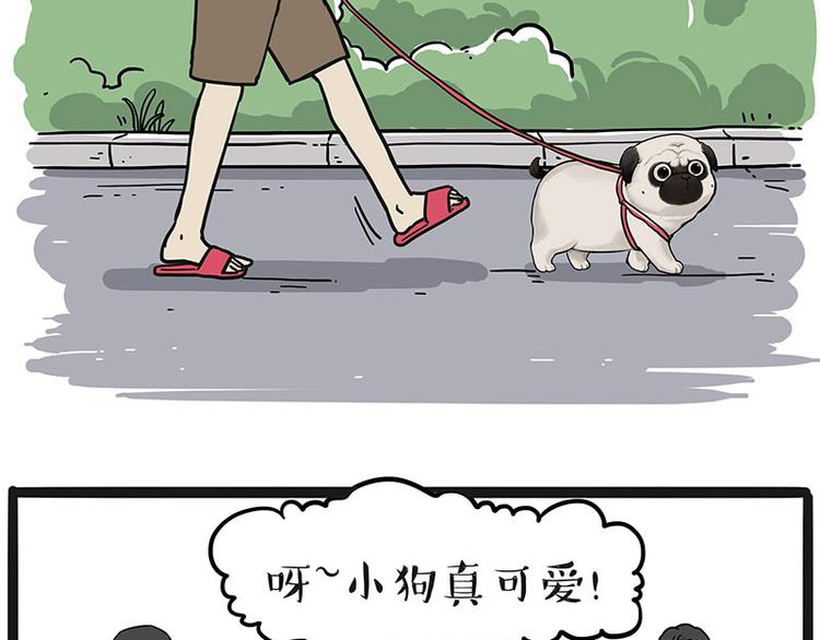 第233话 你太飘了35
