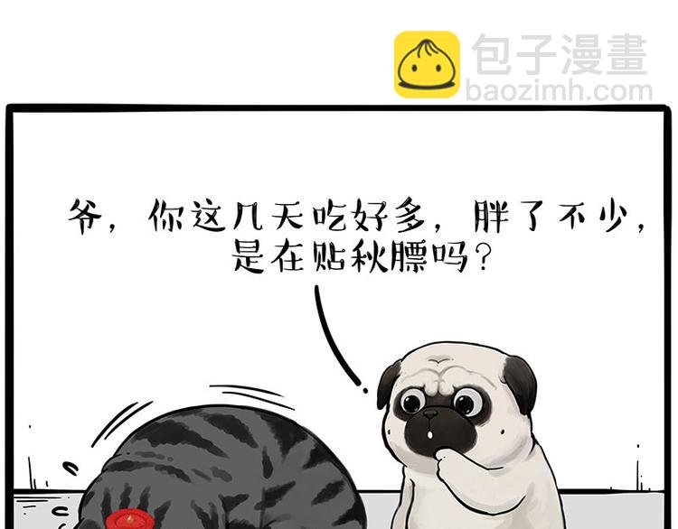 第233话 你太飘了7