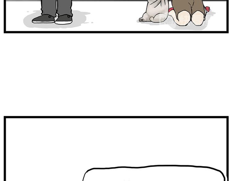 第235话 是亲生的没错吧？18