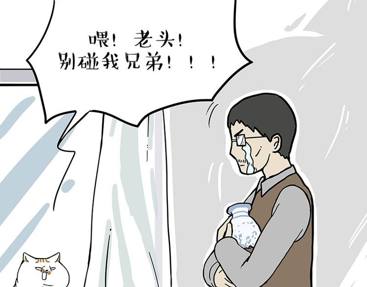 第235话 是亲生的没错吧？32