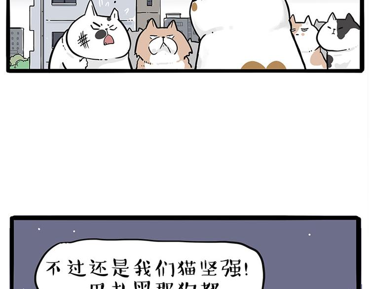 第235话 是亲生的没错吧？77