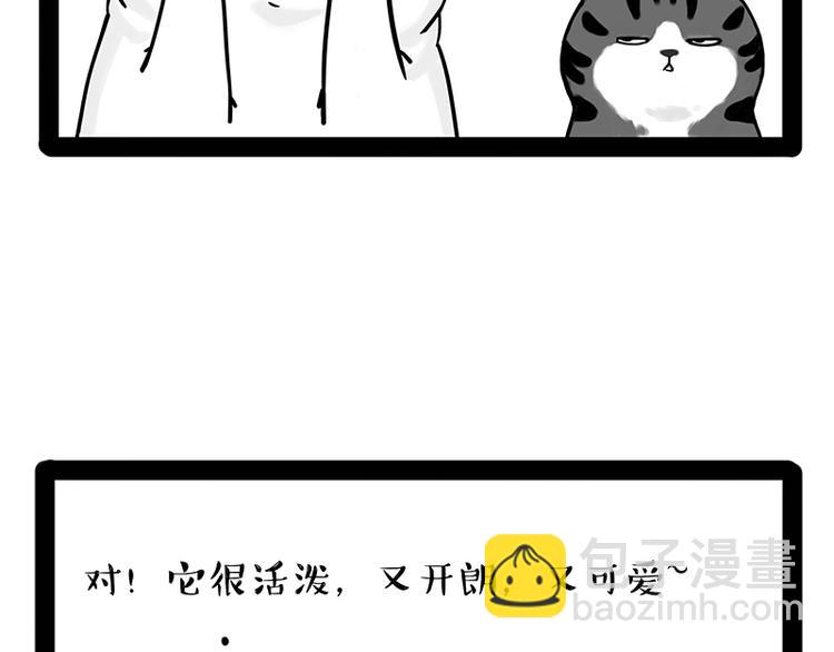 第238话 吾皇的爱情“喵”招12
