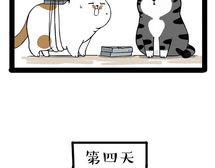 第238话 吾皇的爱情“喵”招48