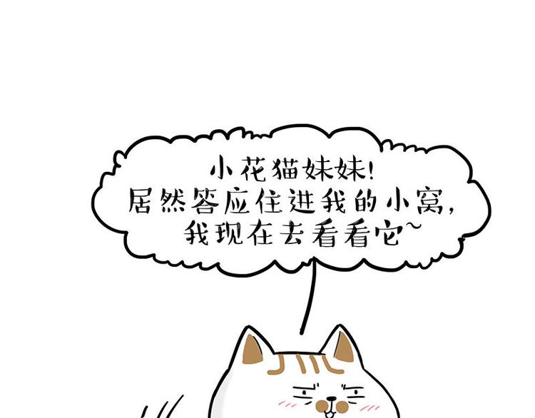 第238话 吾皇的爱情“喵”招71