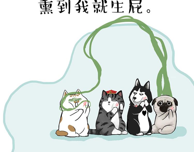 第239话 “屁”的战争5