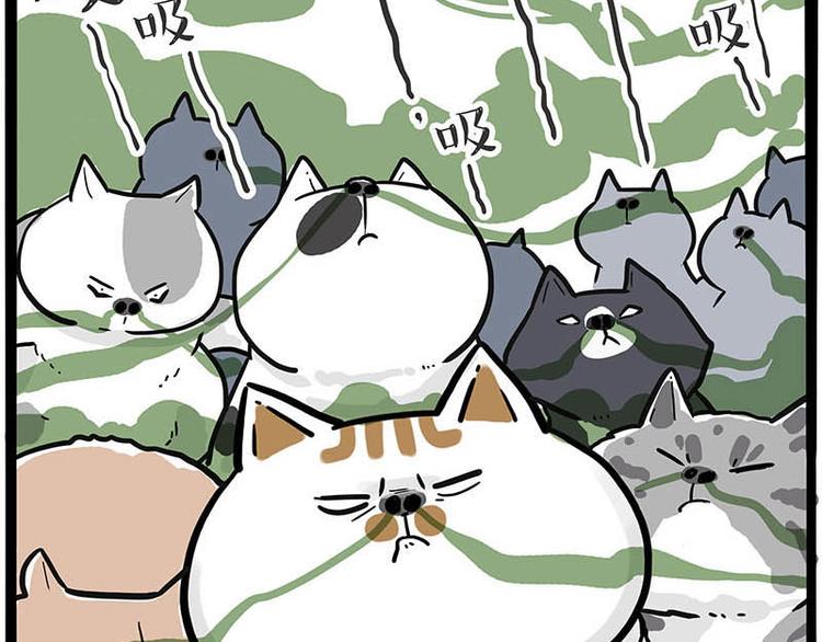 第239话 “屁”的战争65