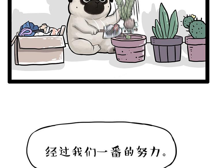 第242话 拆的就是你家25