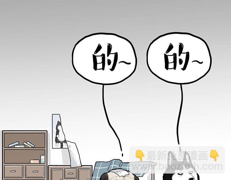 第242话 拆的就是你家3
