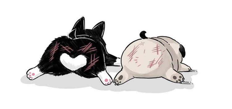 第242话 拆的就是你家66