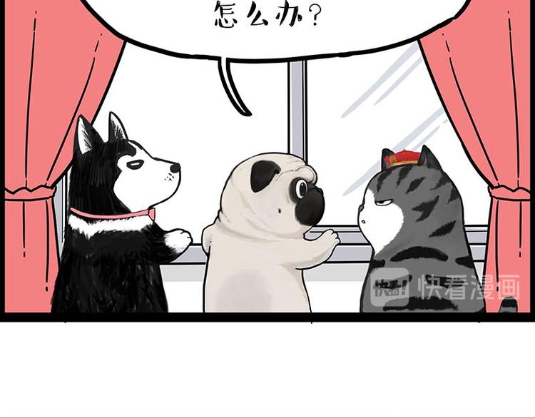 第243话 社会性死亡47