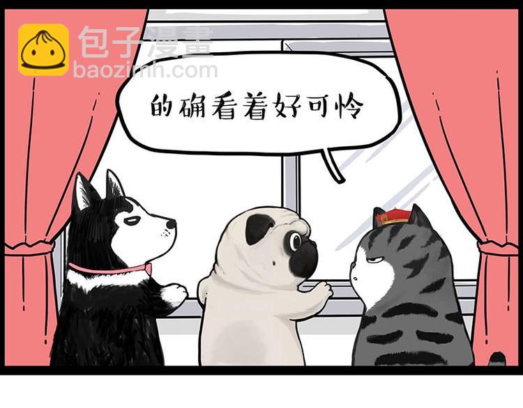 第243话 社会性死亡52