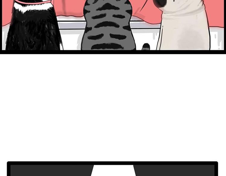 第243话 社会性死亡55
