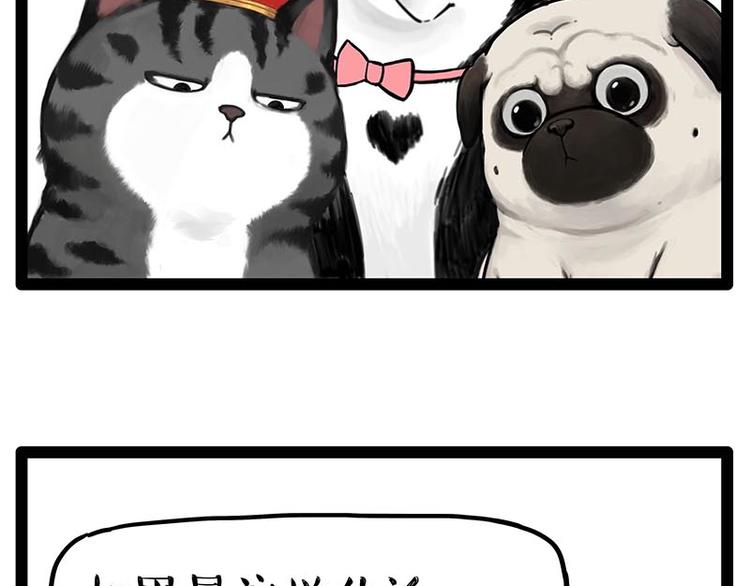 第243话 社会性死亡78