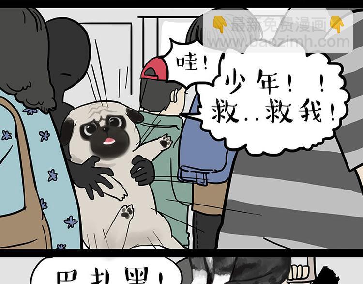 第244话 好家伙，黑衣人？11