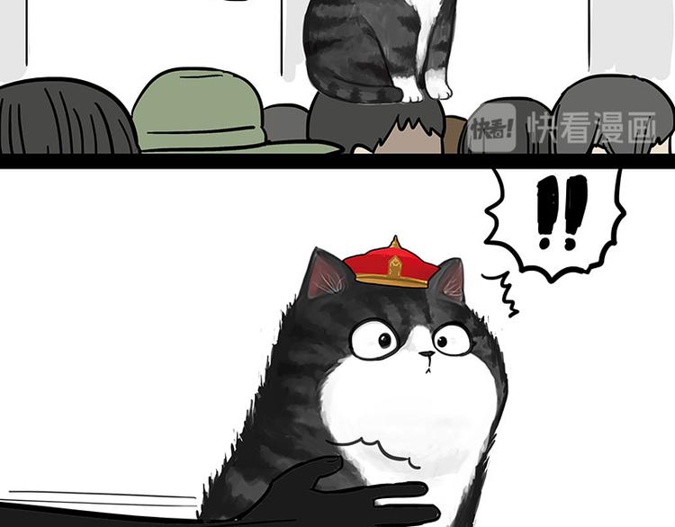 第244话 好家伙，黑衣人？13