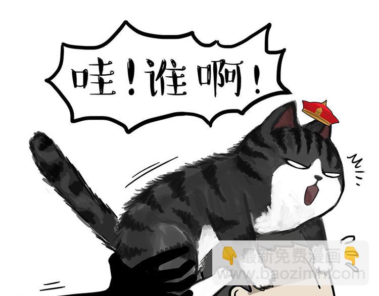 第244话 好家伙，黑衣人？15