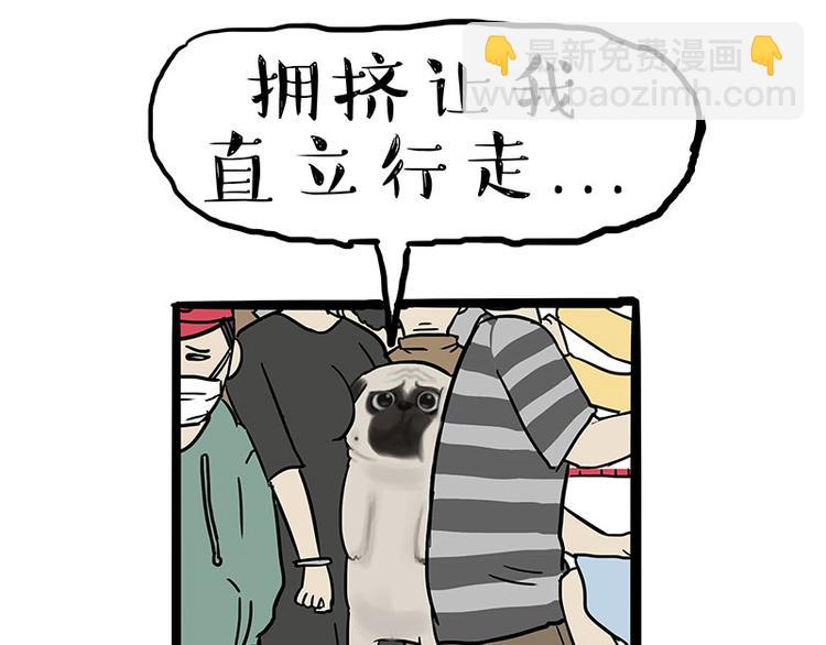 第244话 好家伙，黑衣人？9