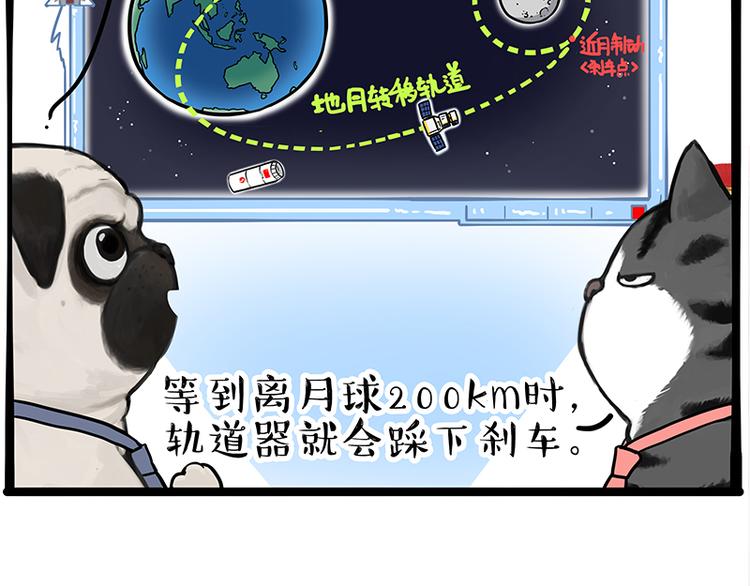 第245话 真上天了45