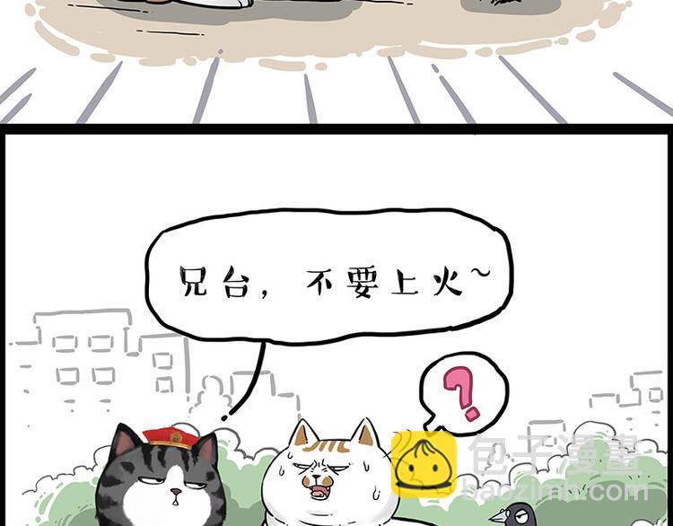第246话 你被踢了19