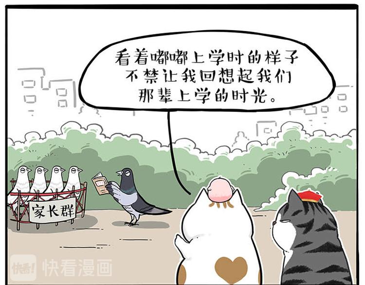 第246话 你被踢了27