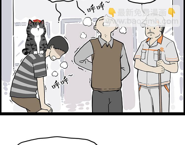 第247话 巴扎猪10