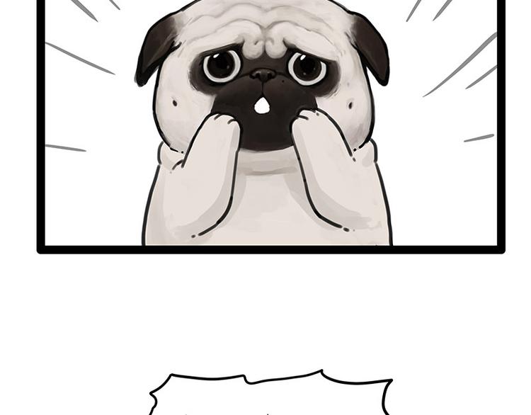 第247话 巴扎猪15