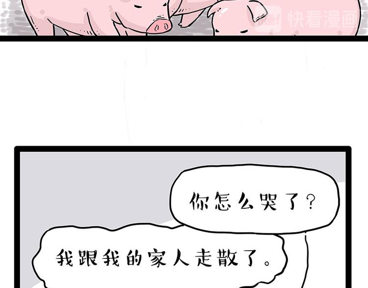 第247话 巴扎猪17
