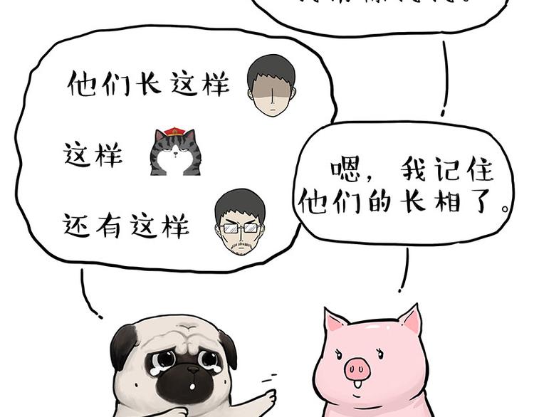 第247话 巴扎猪19