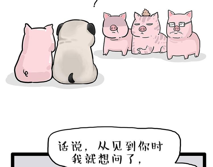 第247话 巴扎猪23