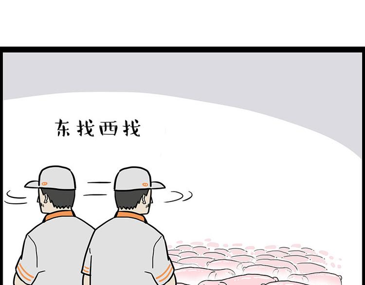 第247话 巴扎猪25